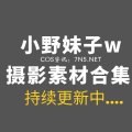 小野妹子W最近最火作品《蕾姆蓝色精》-Coser吧 小野妹子W最近最火作品《蕾姆蓝色精》-Coser吧