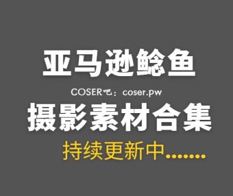 网络红人 亚马逊鲶鱼 21套艺术写真作品合集[756P/8.33GB]