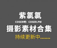 动漫博主 紫氯氯图集作品最全合集36套[496P/2.12GB]