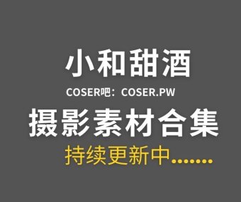 动漫博主 小和甜酒 26套cosplay图集作品合集[2176P/11.5GB]